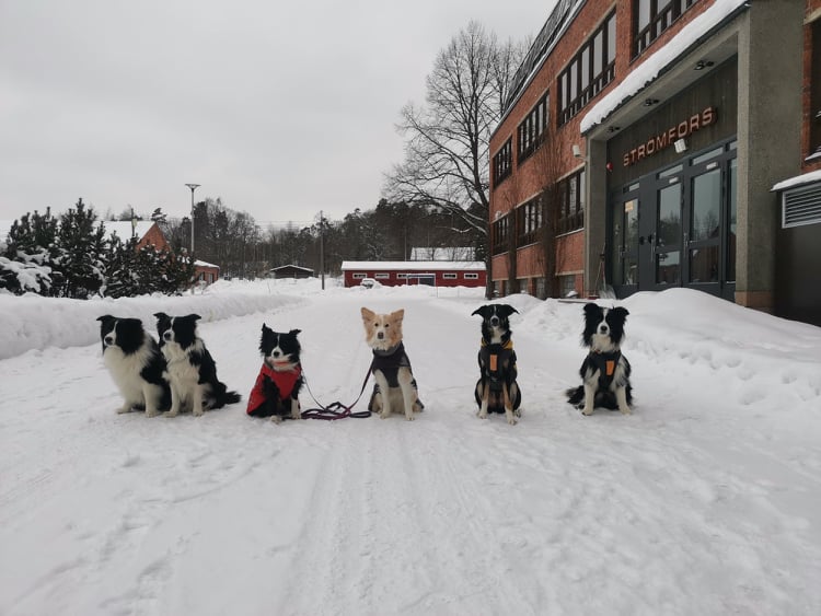 Stromfors